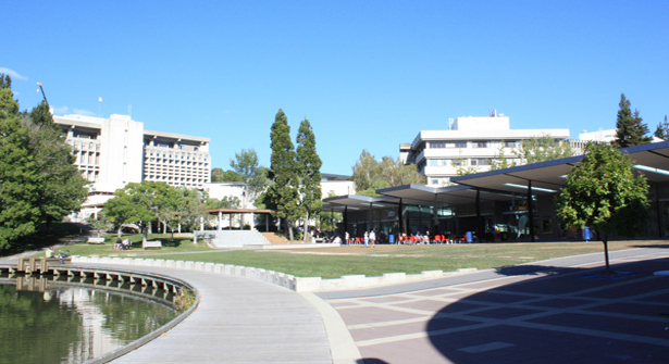 University Of Waikato