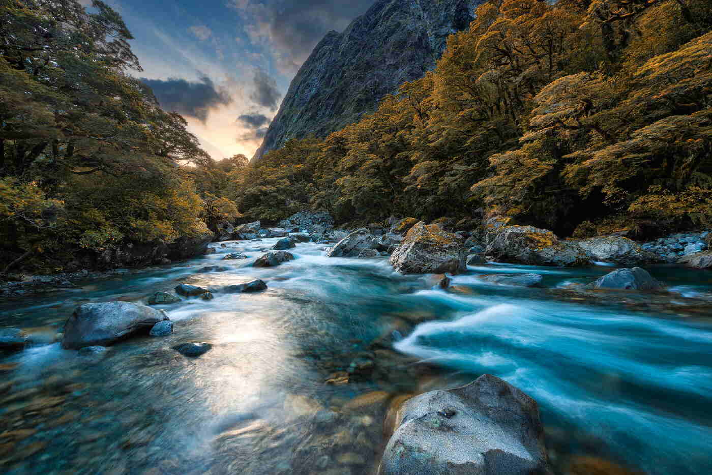 Fiordland - Education Republic