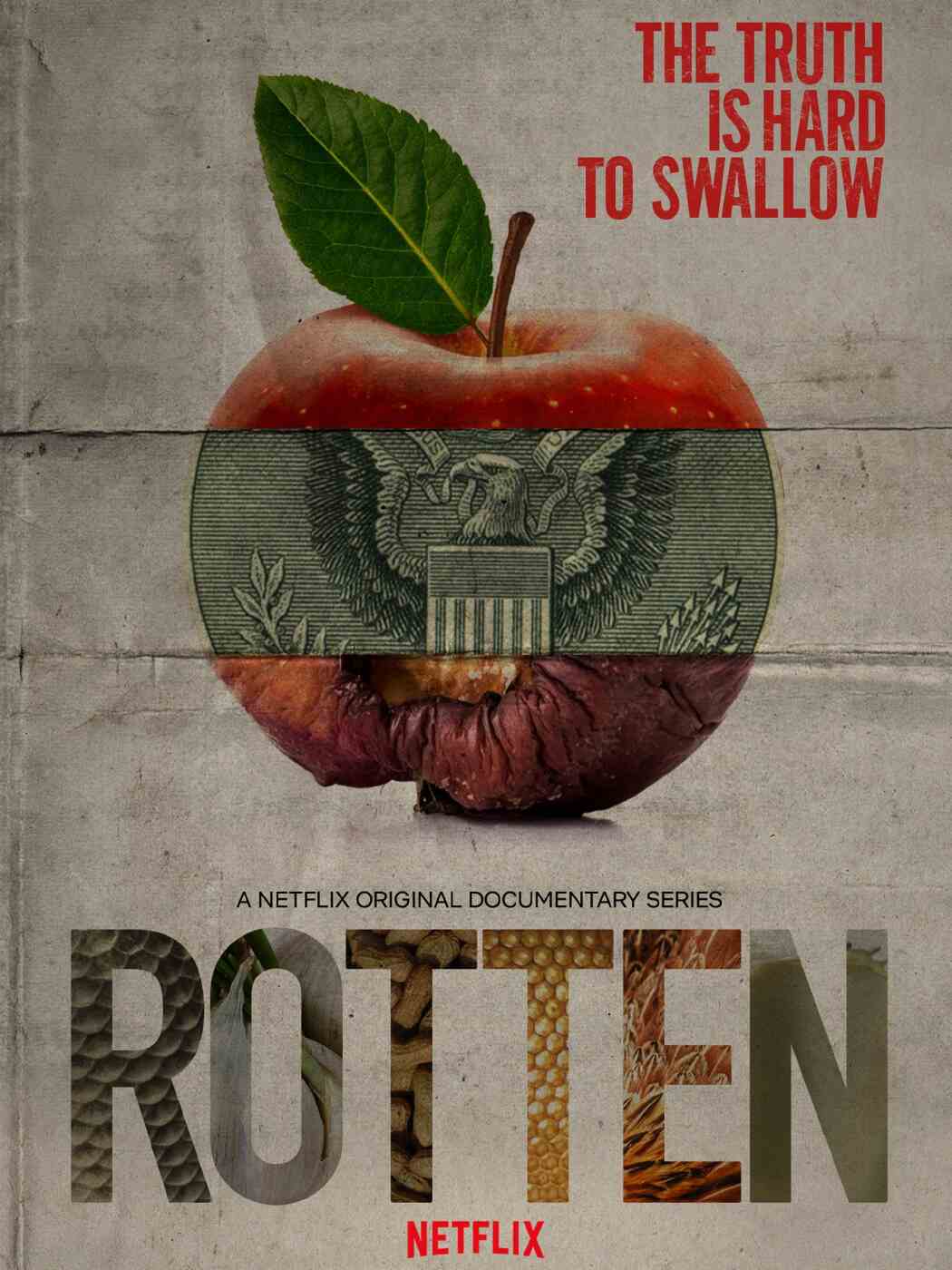 Rotten - Education Republic