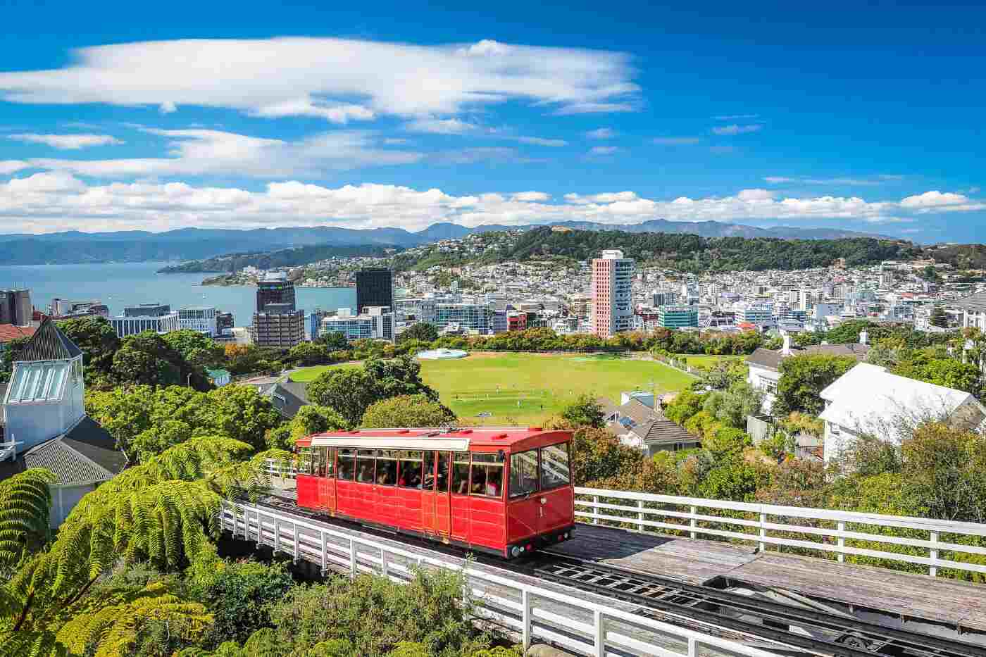 Tips Menjelajahi Selandia Baru Tanpa Kendaraan Pribadi - Education Republic