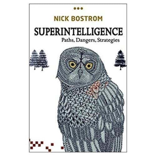 Superintelligence Paths Dangers Strategies by Nick Bostrom - Education Republic