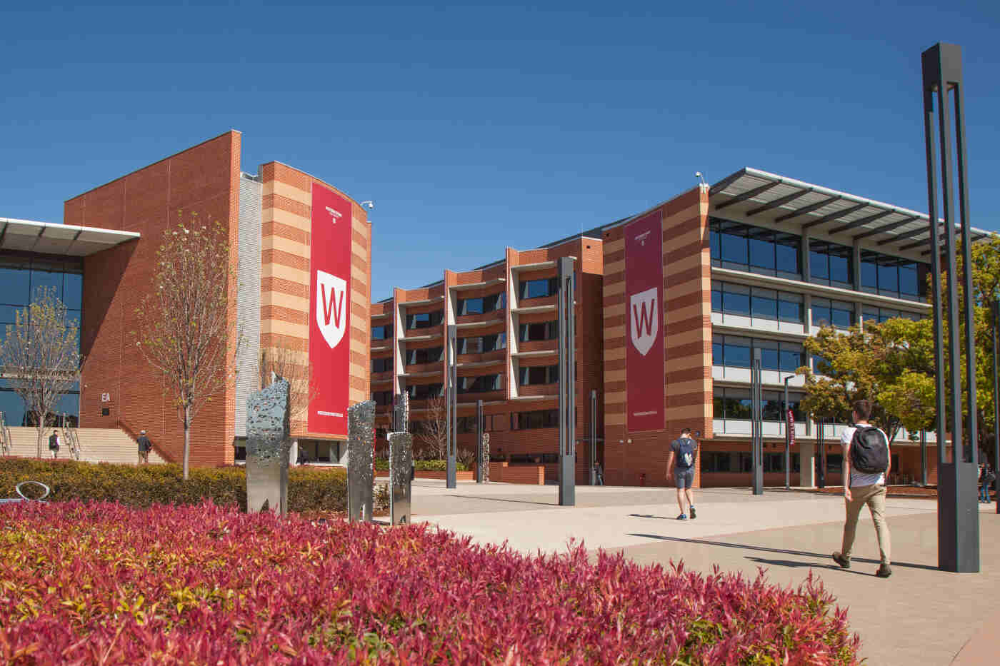 Tentang Western Sydney University Wsu - Education Republic