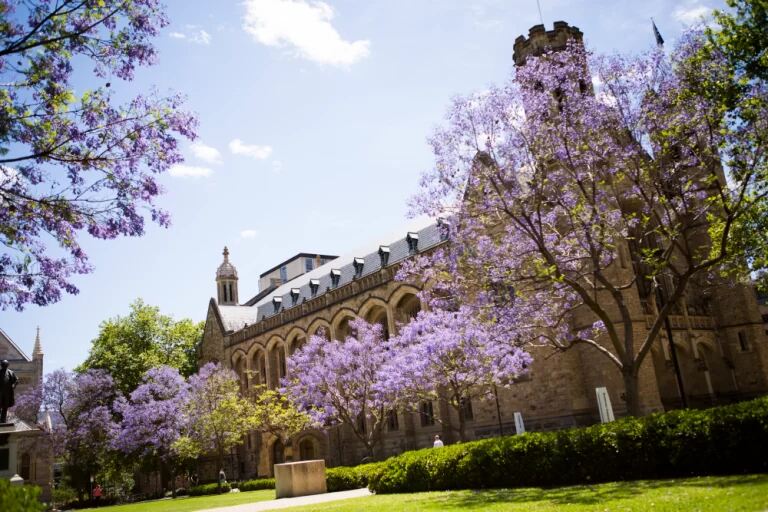 Cara Syarat Daftar University Of Adelaide 2024 - Education Republic